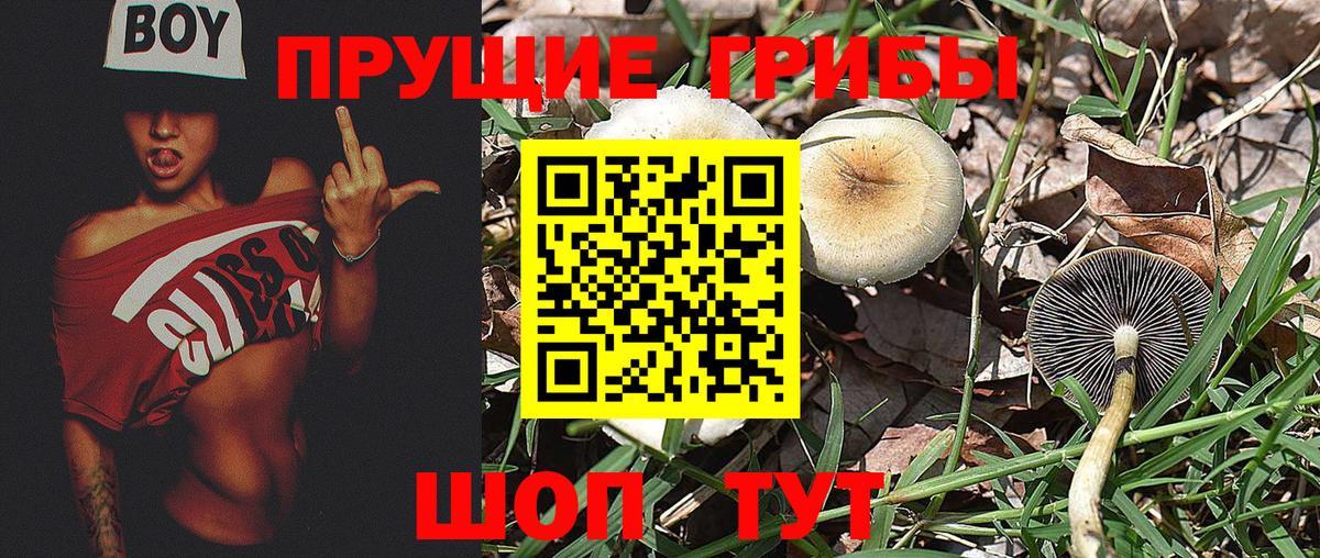 Псилоцибиновые грибы Magic Shrooms Трёхгорный