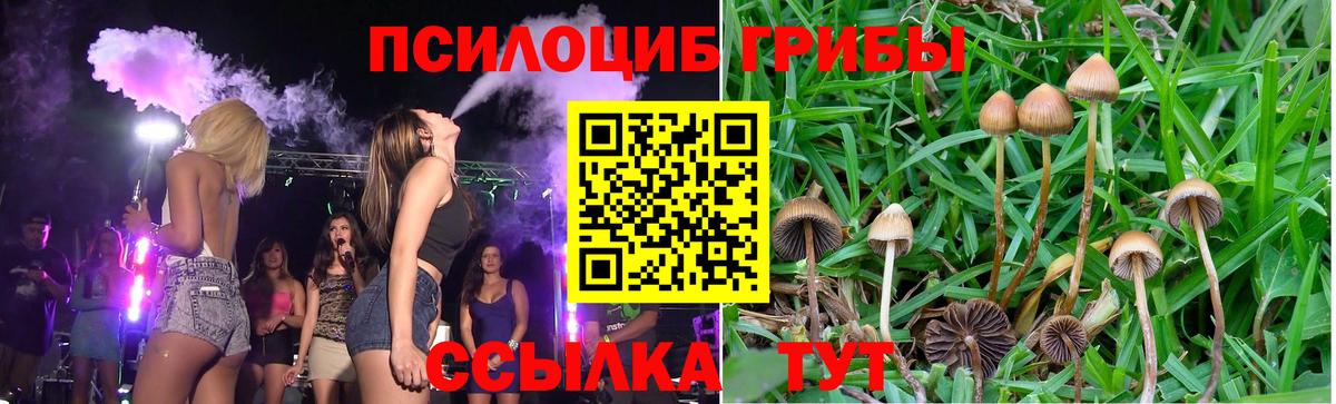 Псилоцибиновые грибы прущие грибы  где купить наркотик  Трёхгорный  Вход с VPN 